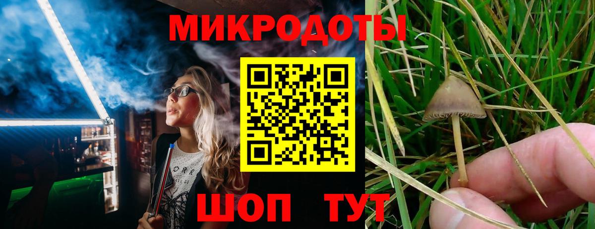 Галлюциногенные грибы GOLDEN TEACHER Горячий Ключ